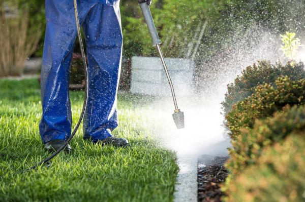 Curb Cleaning in Laguna Niguel