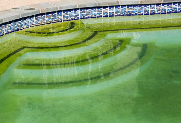 Pool Deck Algae Removal in Laguna Niguel