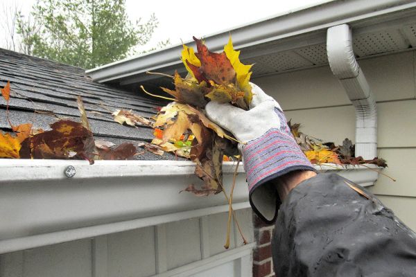 Eaves Cleaning in Laguna Niguel