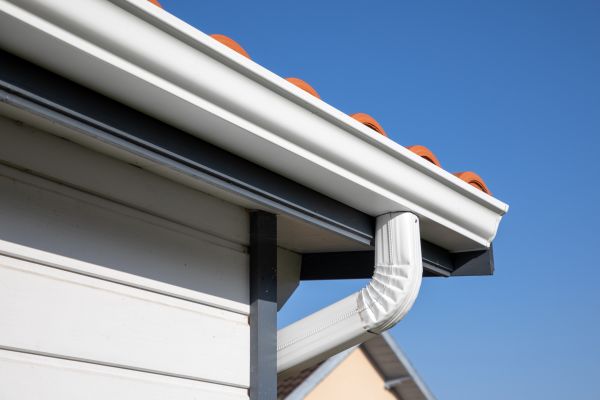 Roofline Cleaning in Laguna Niguel