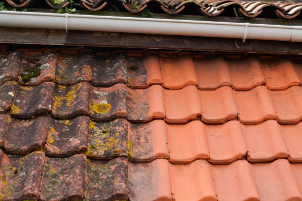 Industrial Roof Cleaning in Laguna Niguel